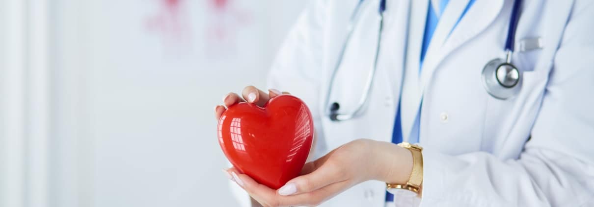 Healthcare professional holding a model heart