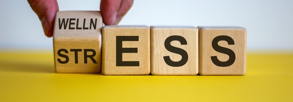 Close up of a hand holding blocks that say wellness and stress